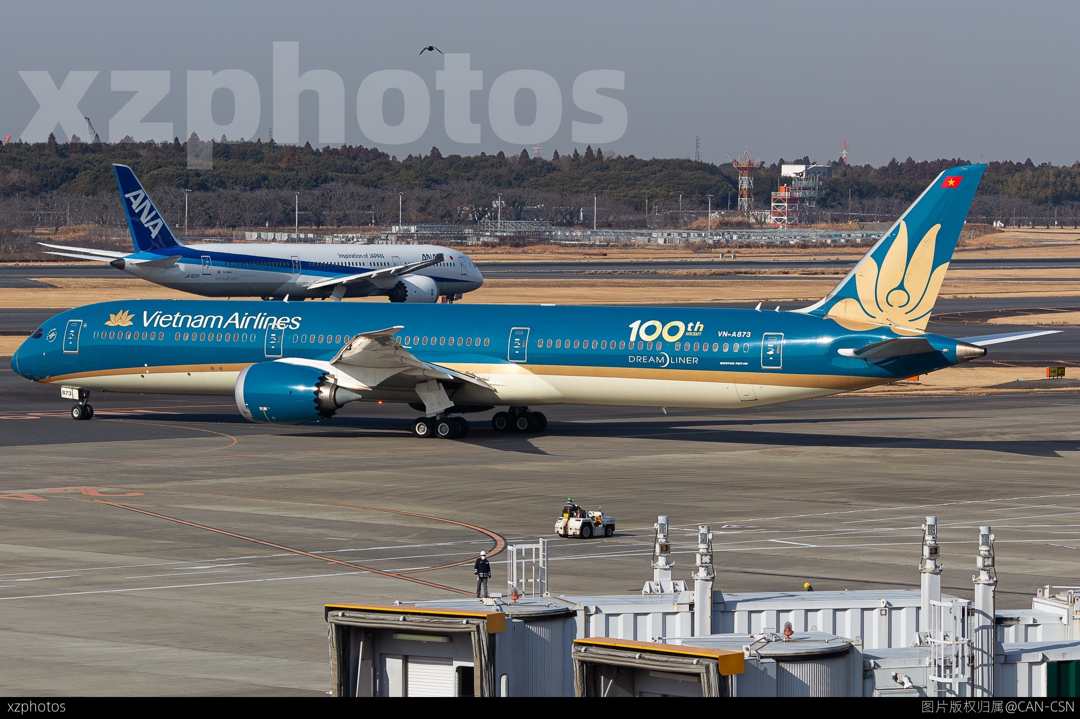 "100th Aircraft" sticker