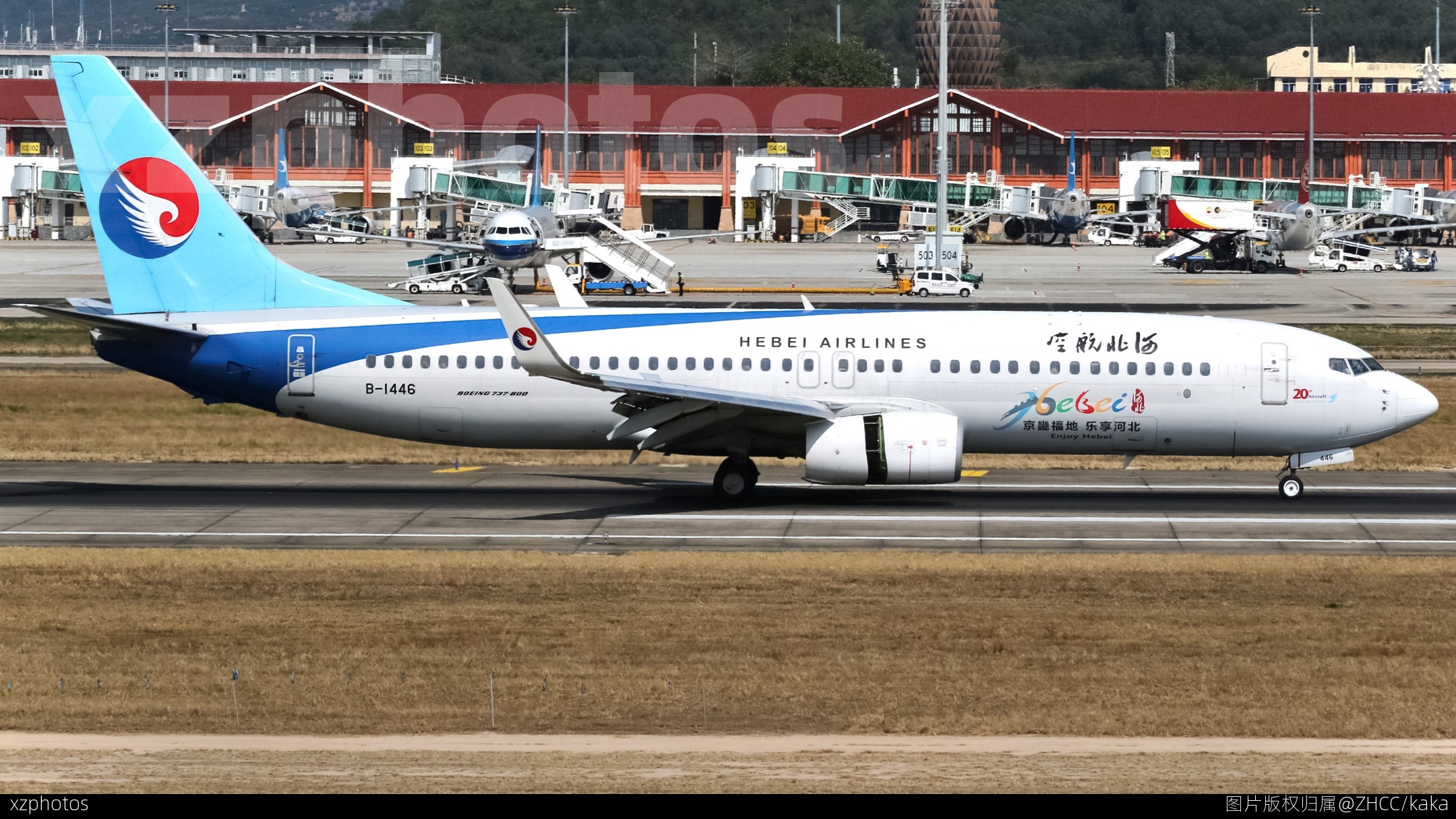 B-1446