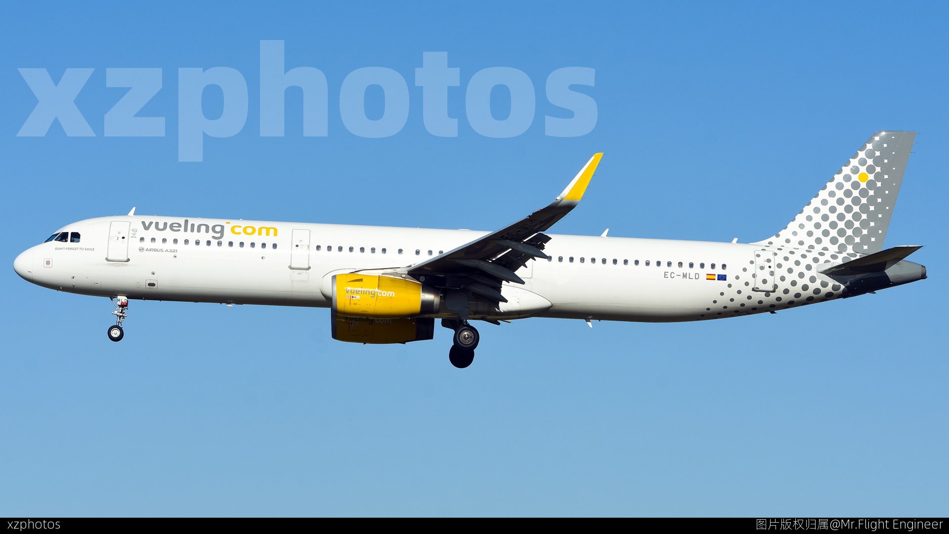 EC-MLD