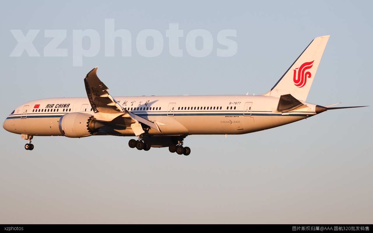 B-7877