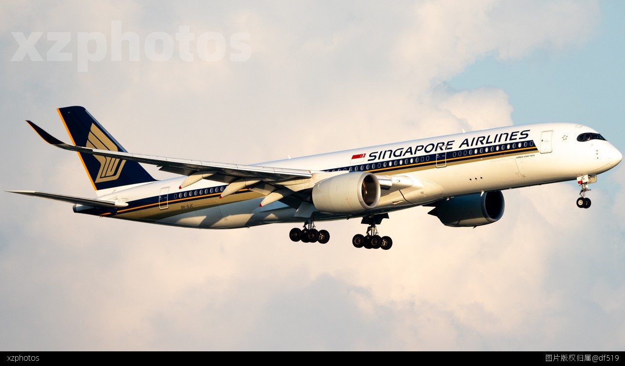 A350遇上极品黄金光