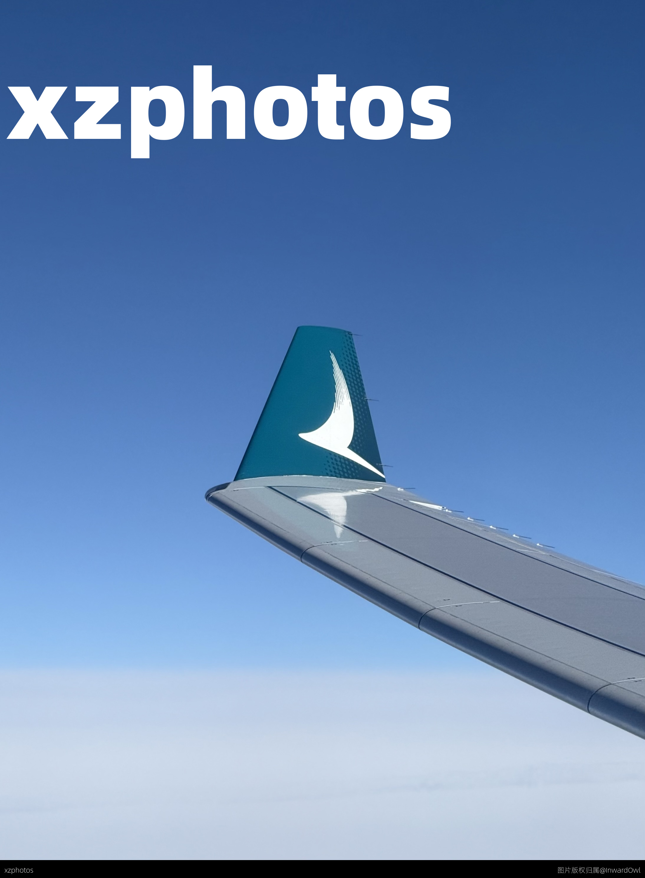 国泰航空A330小翼
