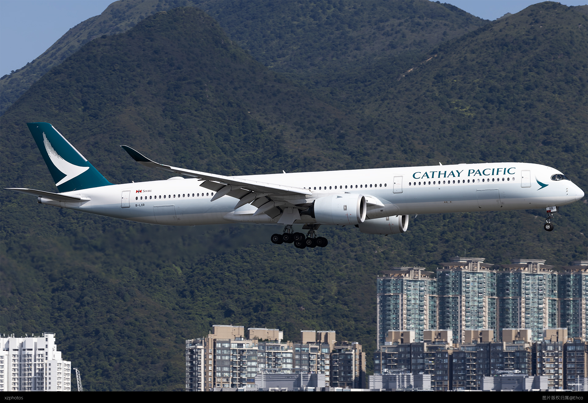 B-LXR