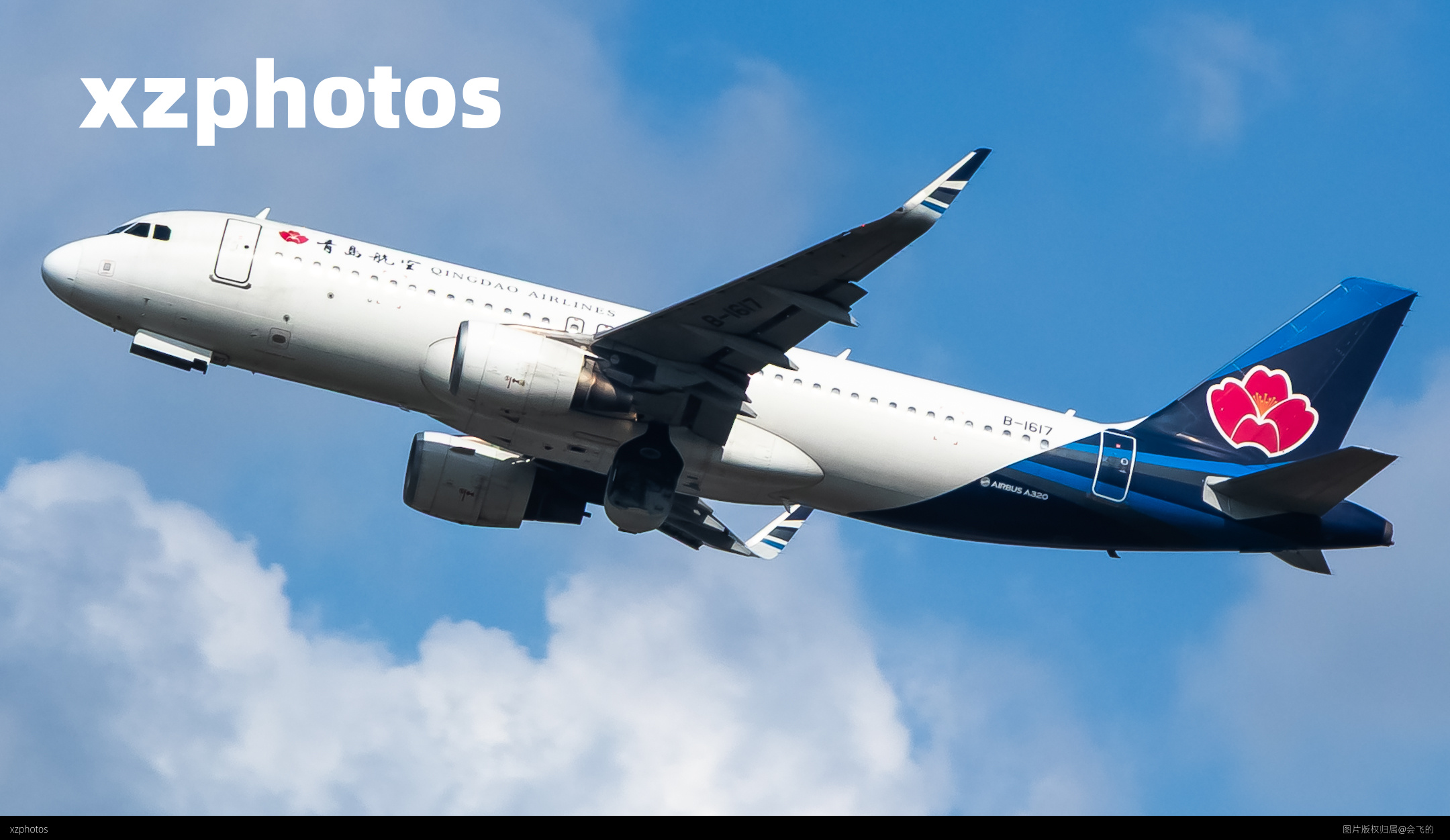 青岛airline