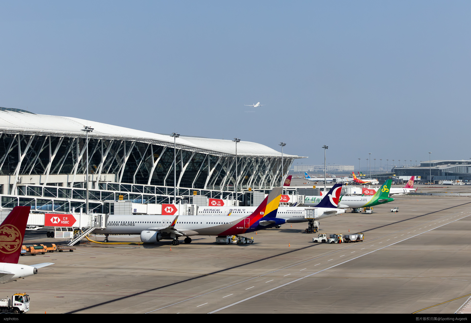 PVG T2