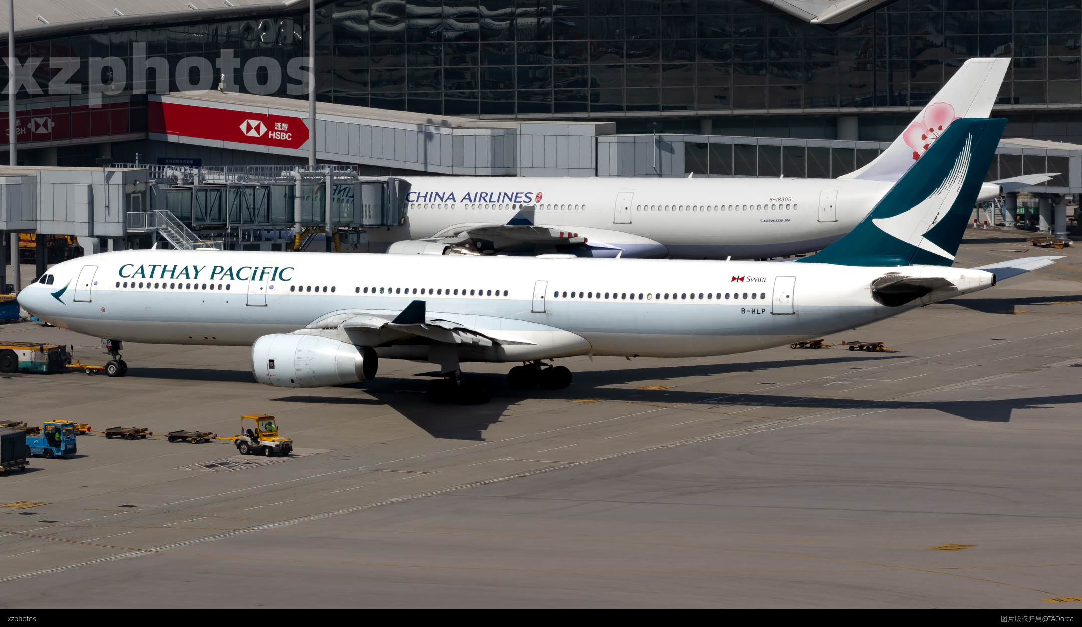 B-HLP