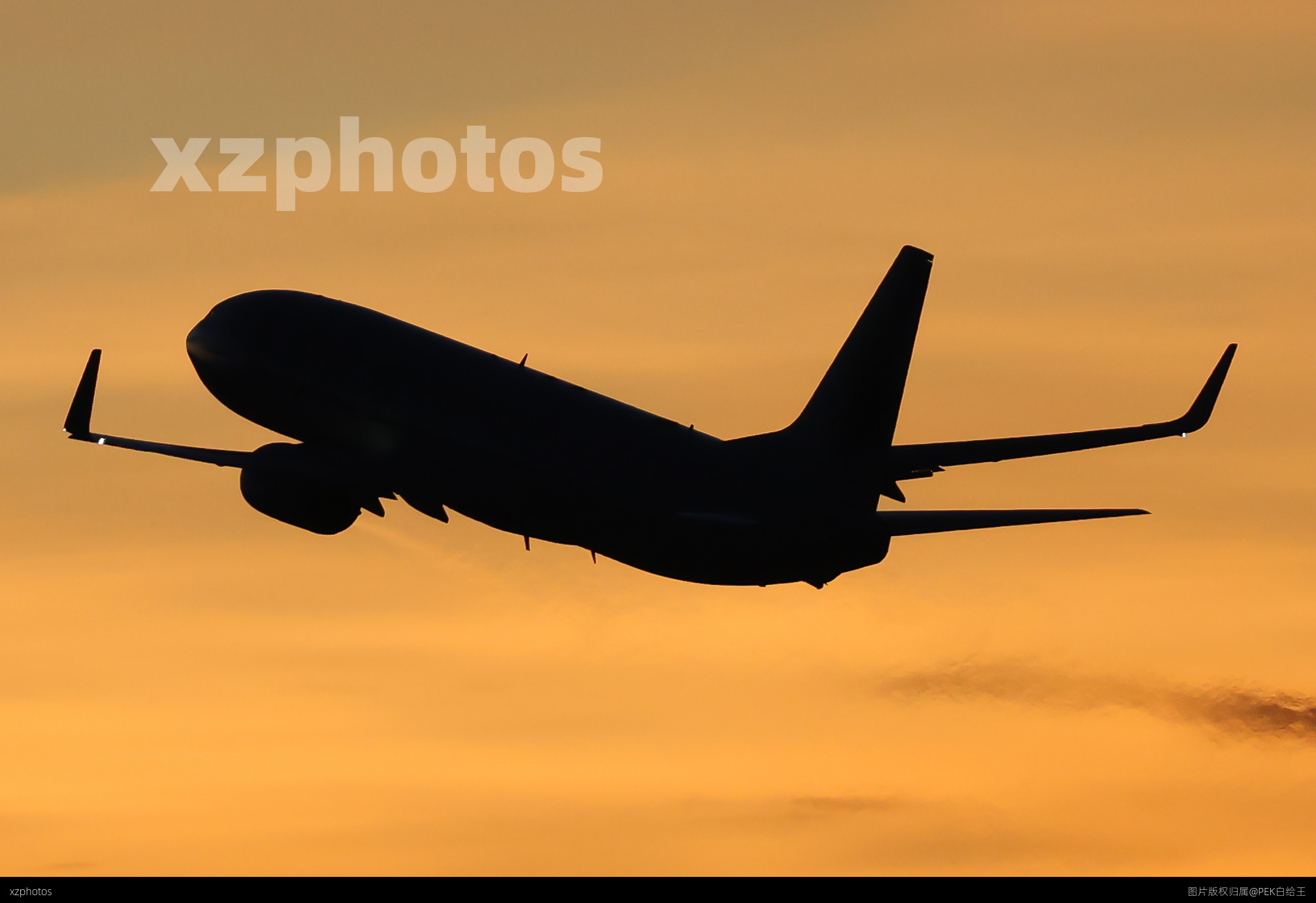 东海737