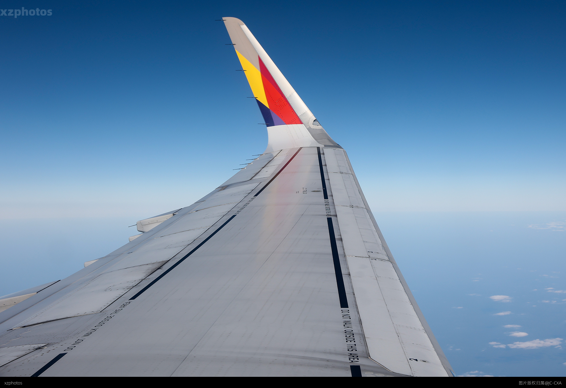 wings view