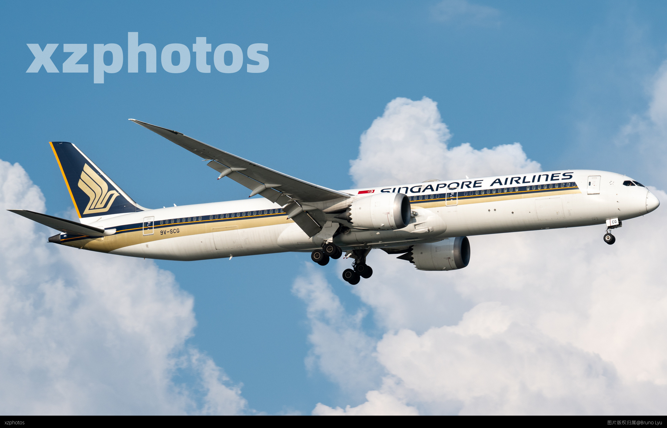 新航787