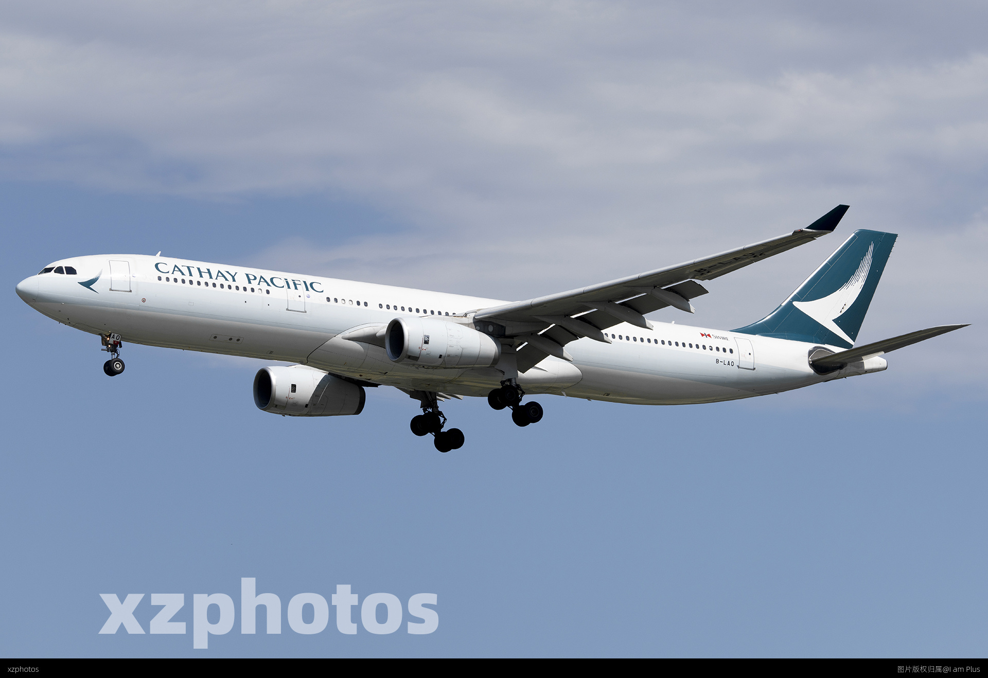 CX333-LAO-2