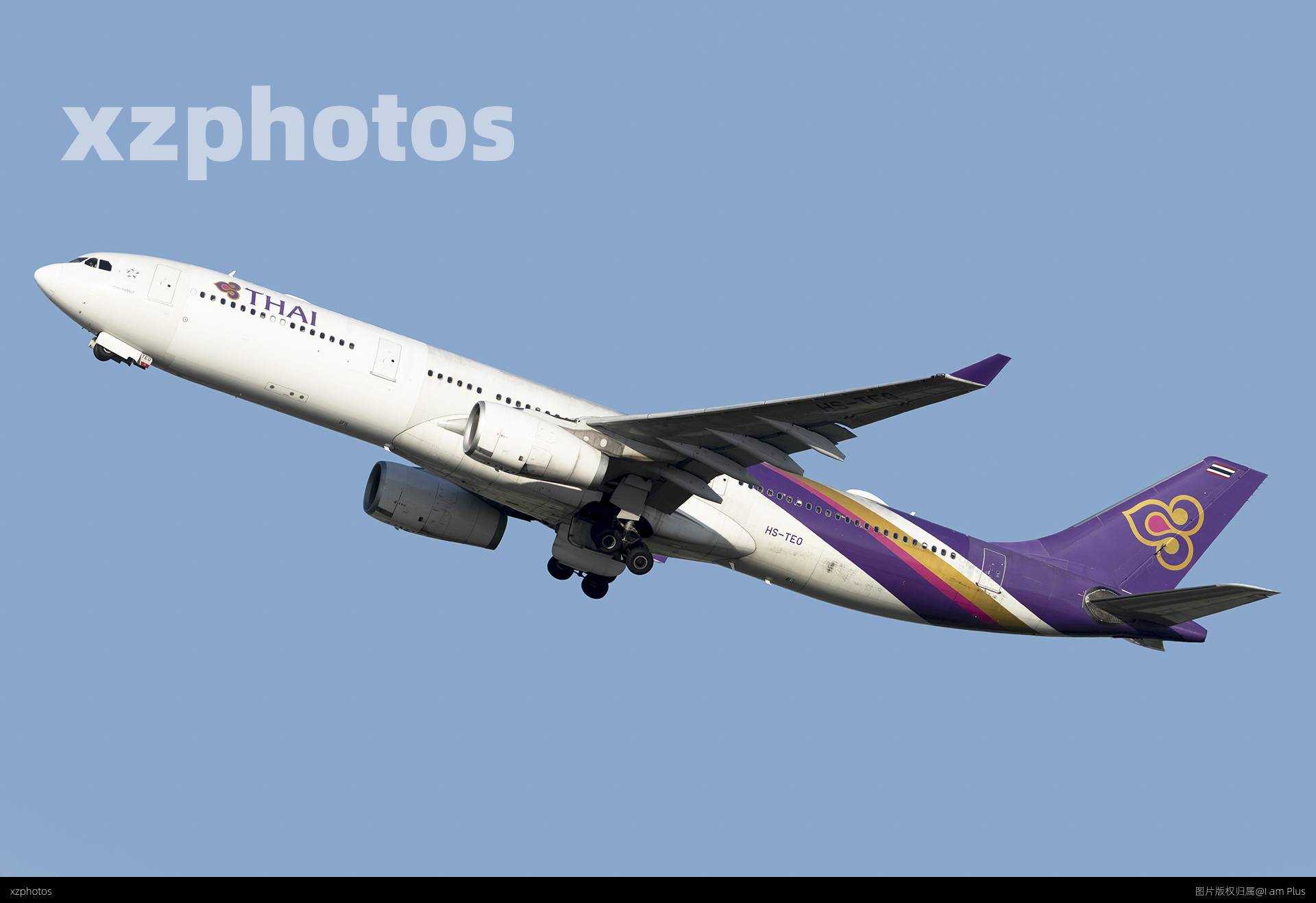 TG333-TEO