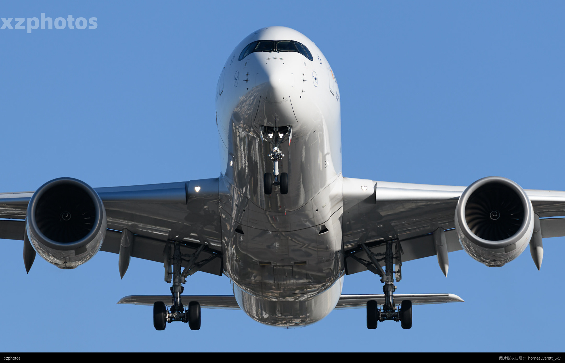 Lufthansa🇩🇪