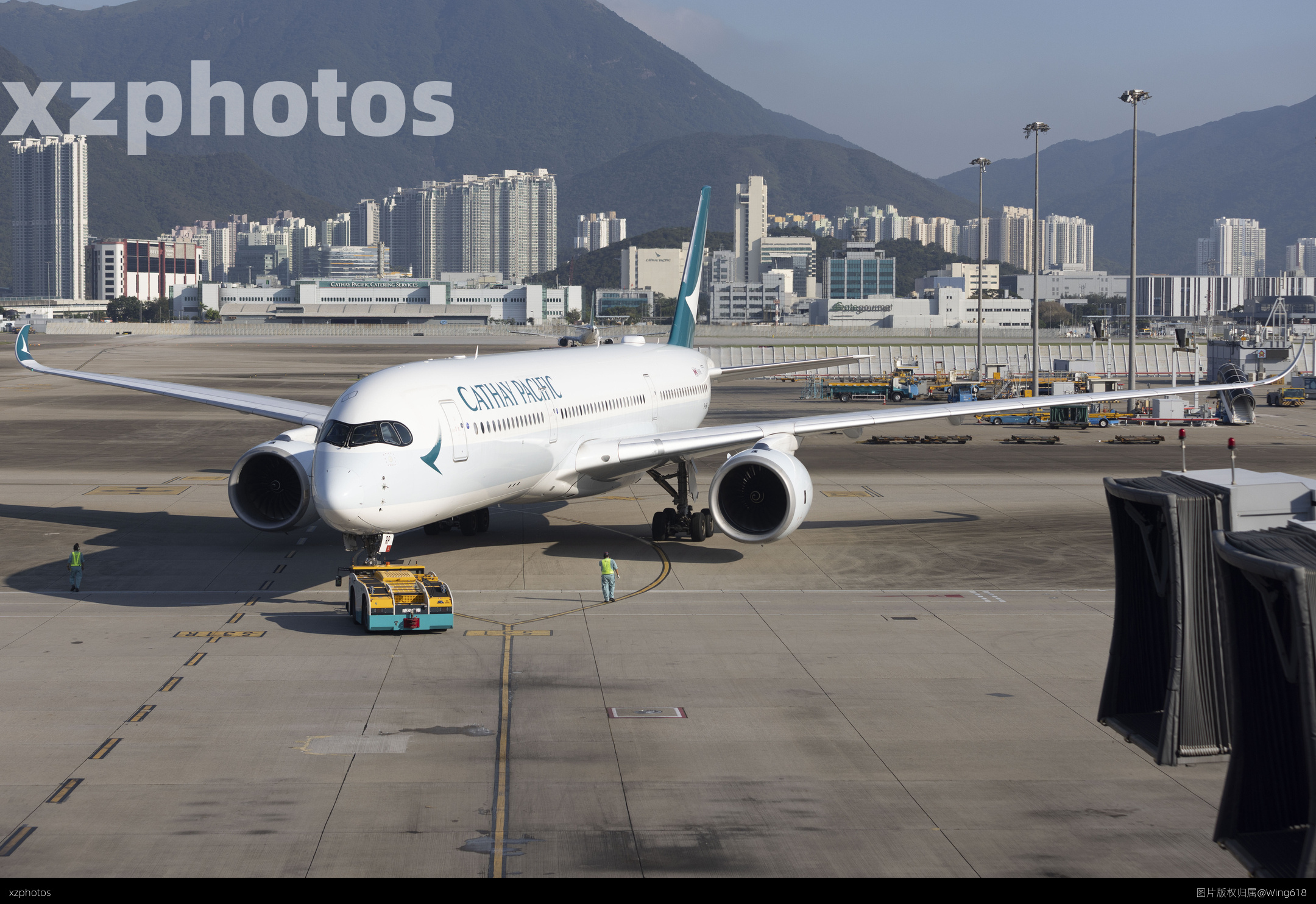B-LRP