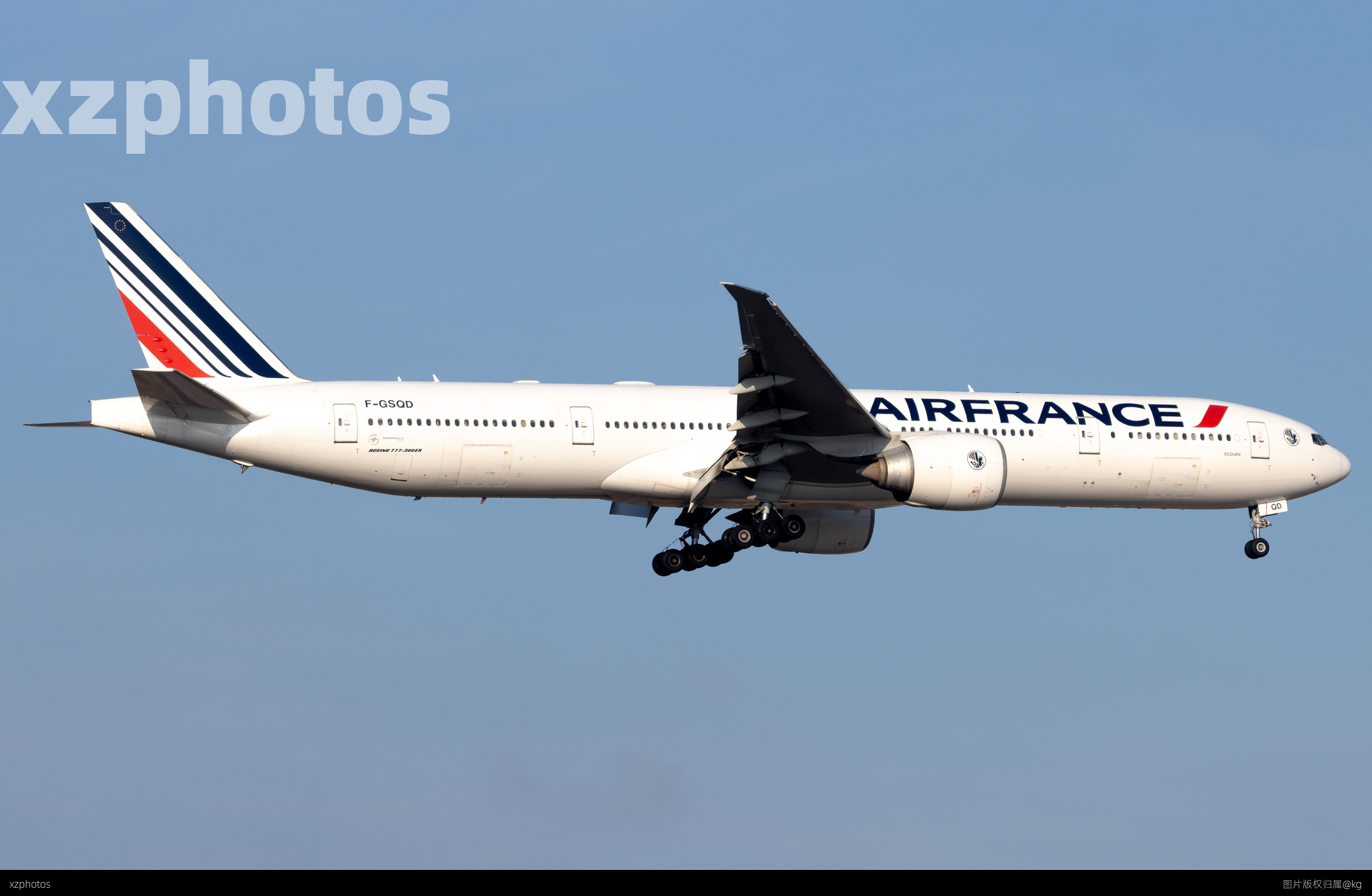 F-GSQD