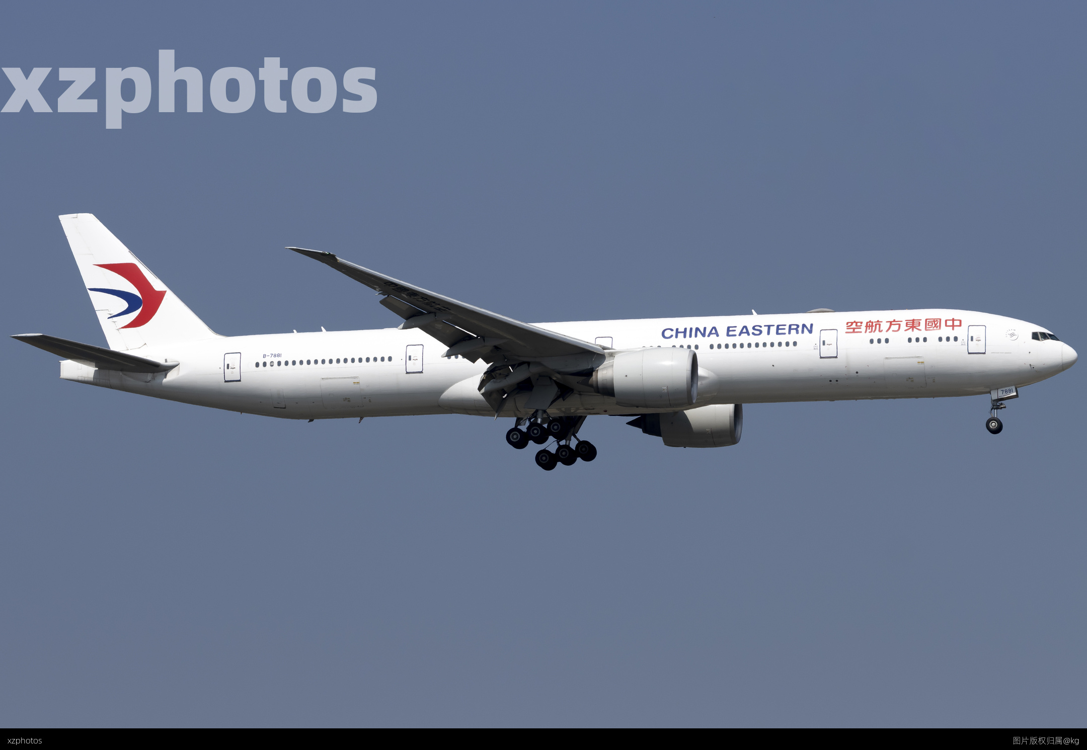 B-7881