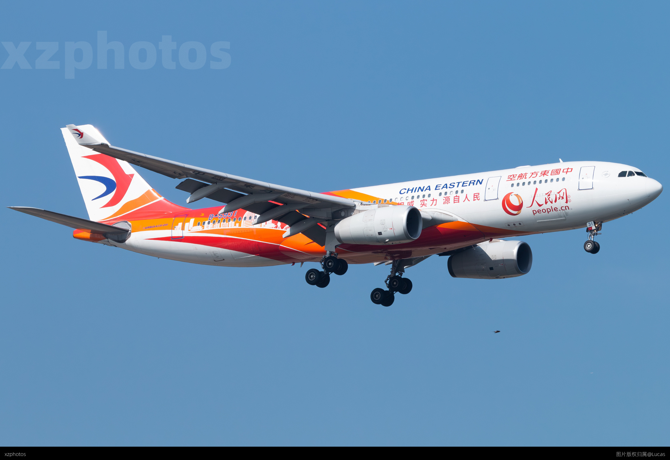 B-5931