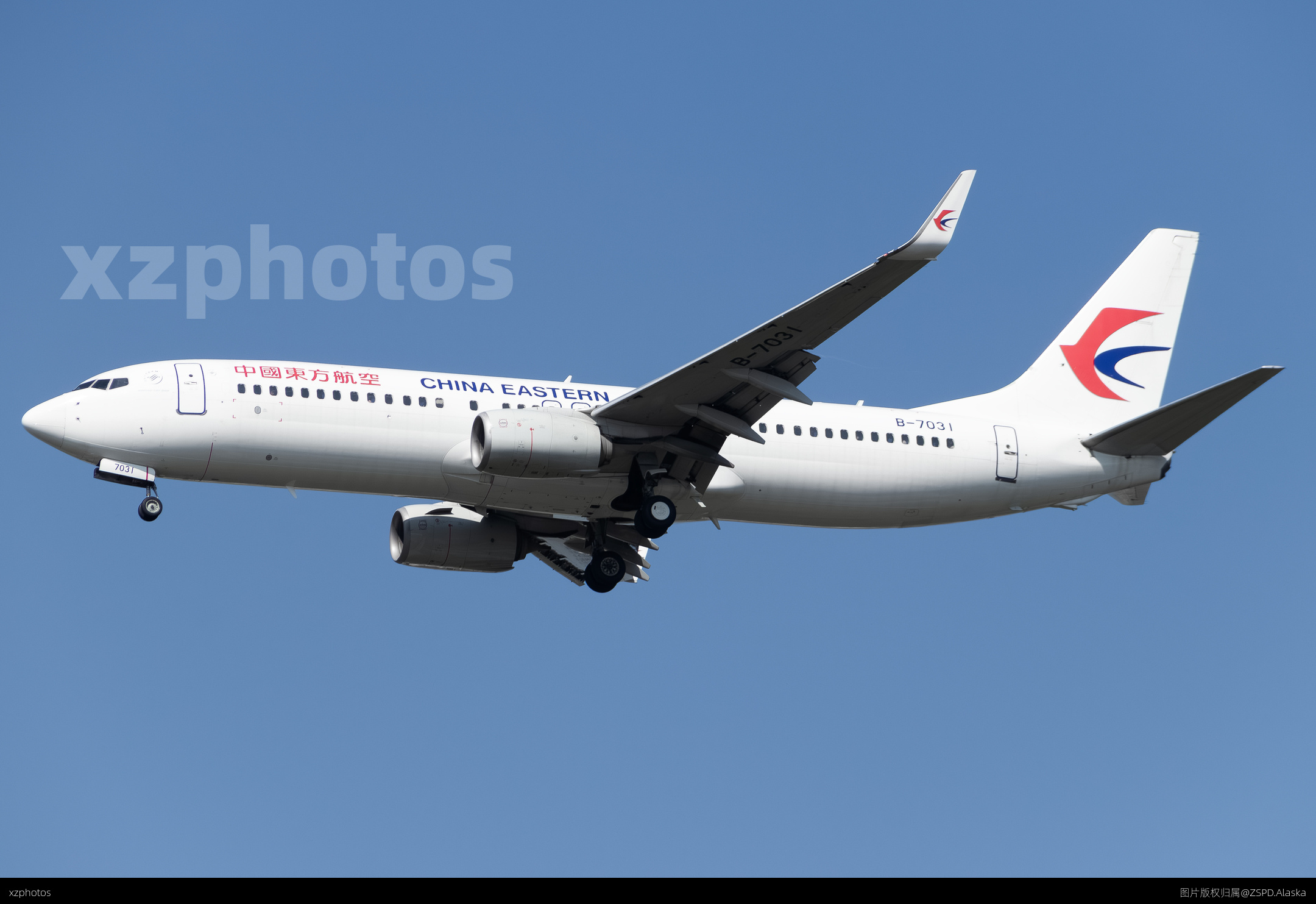 B-7031