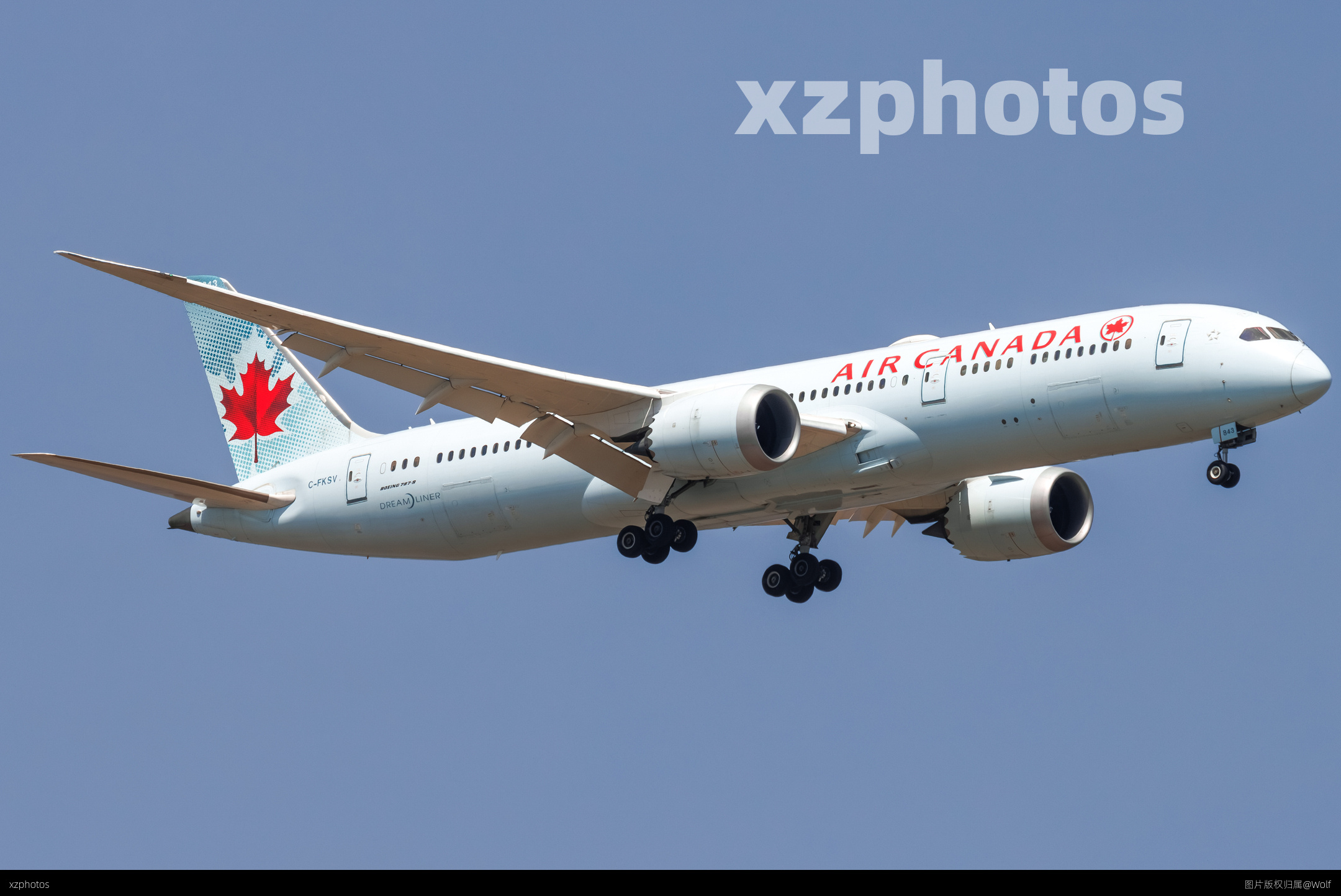 老涂787