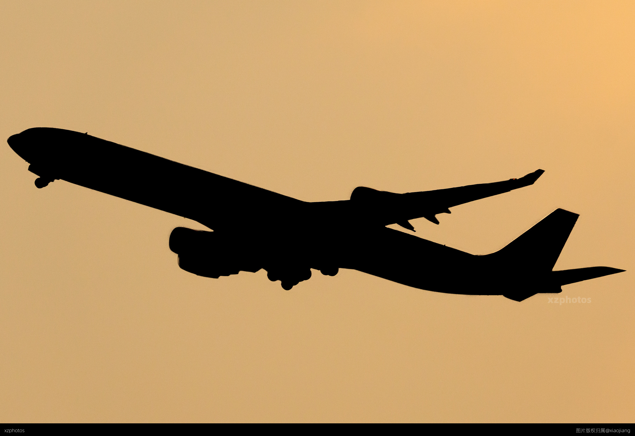 G-ECLB