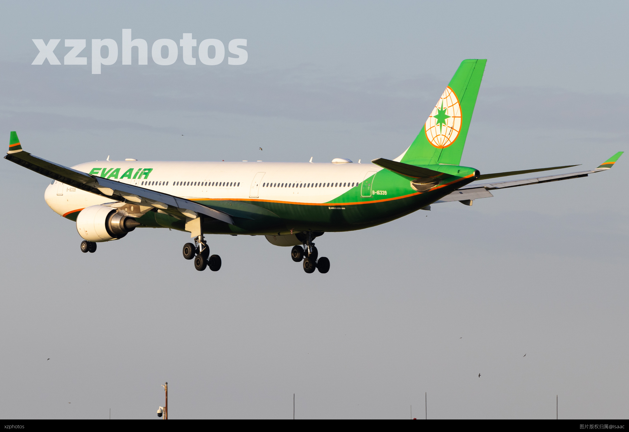 B-16339