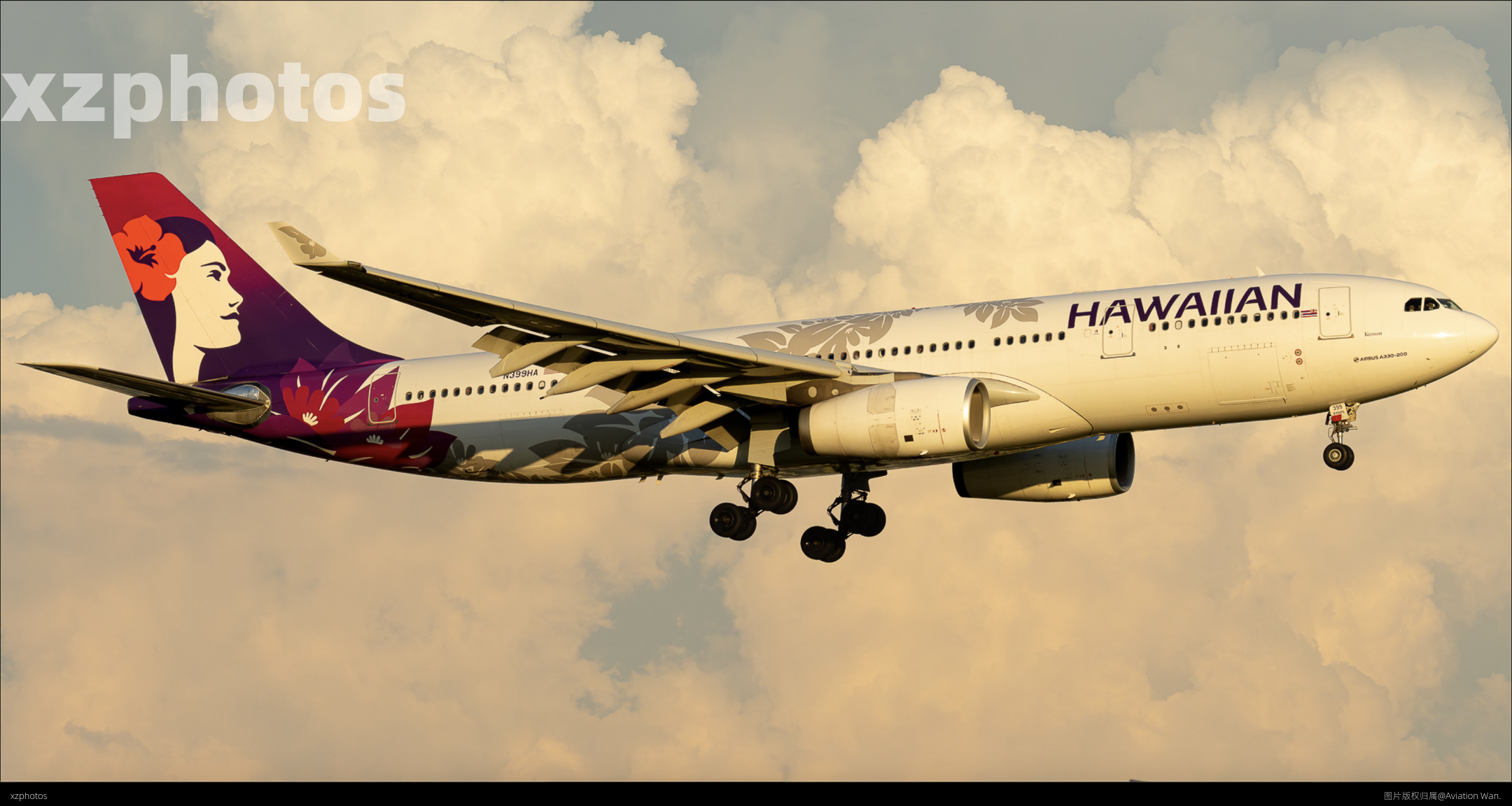 Hawaiian