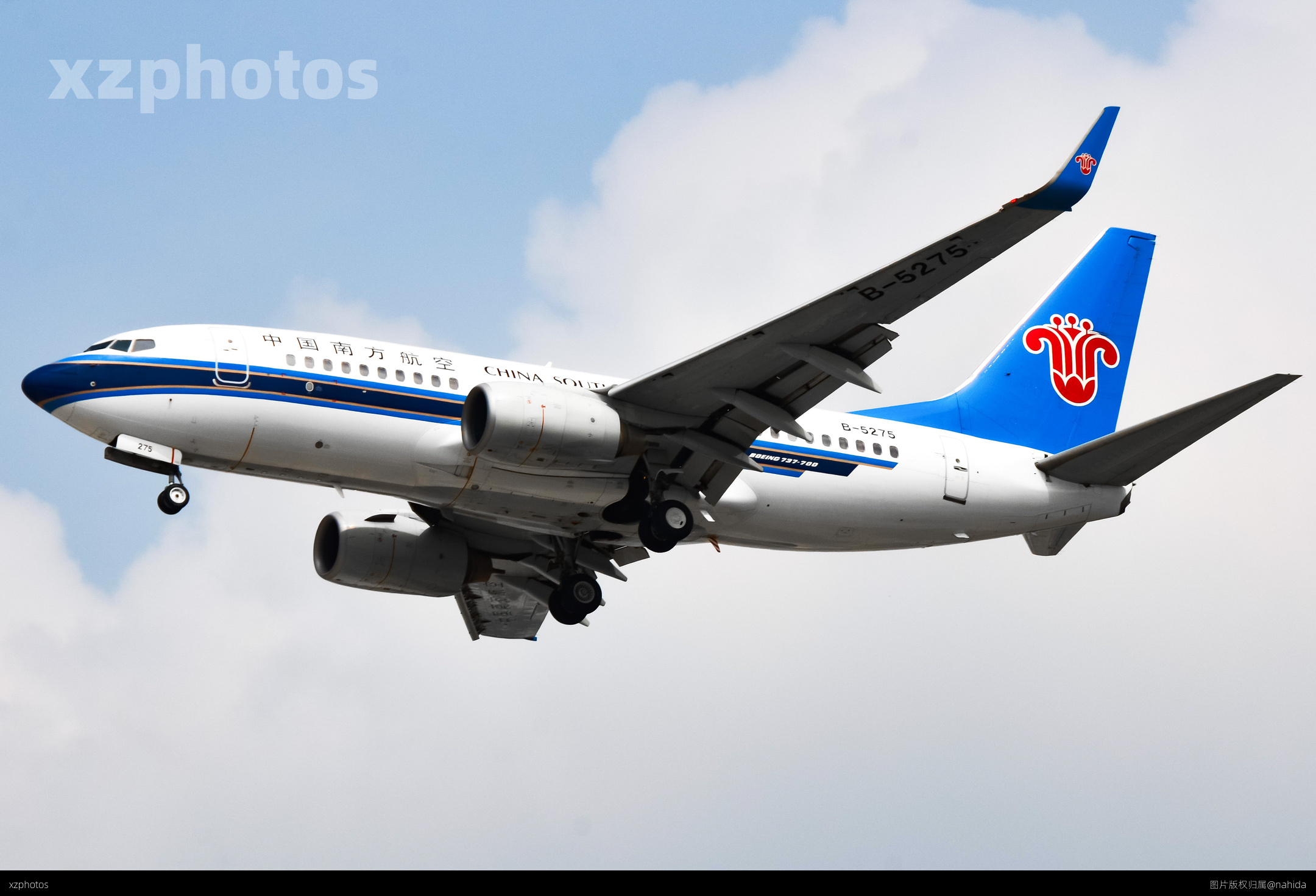 B-5275