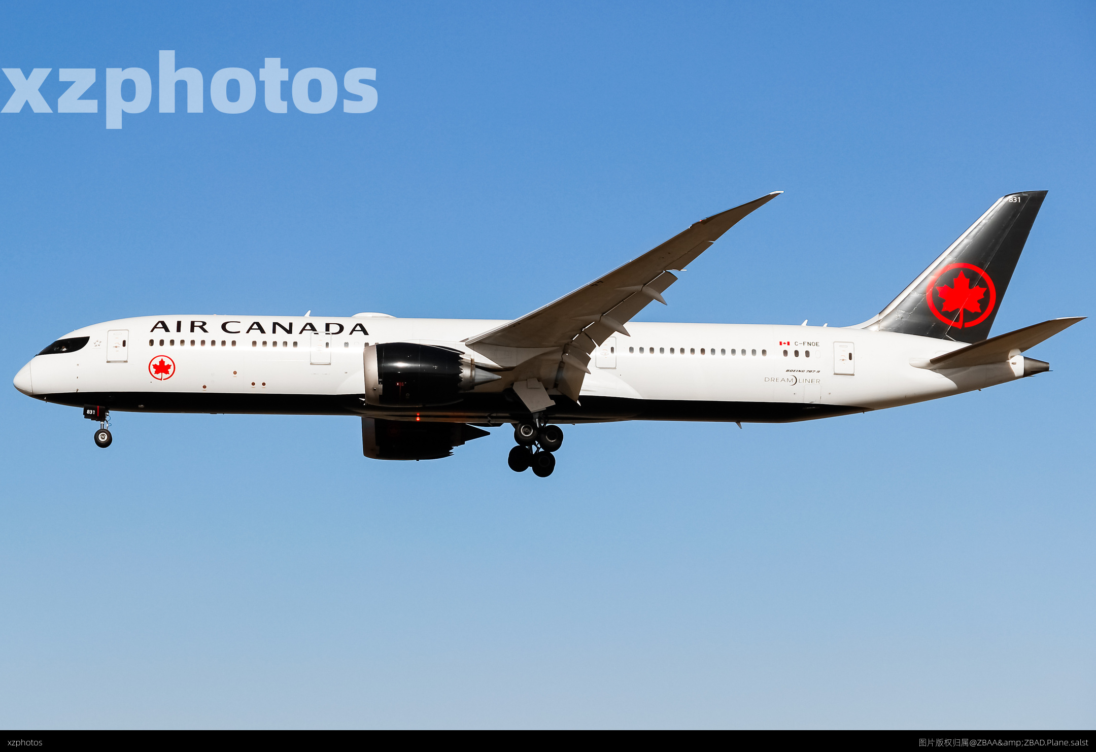 加拿大🇨🇦航空B789