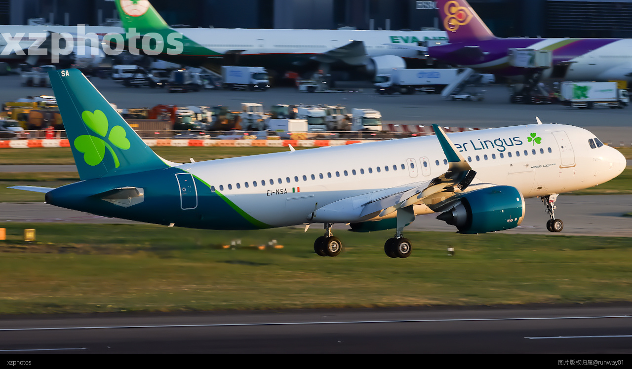 EI-SIA