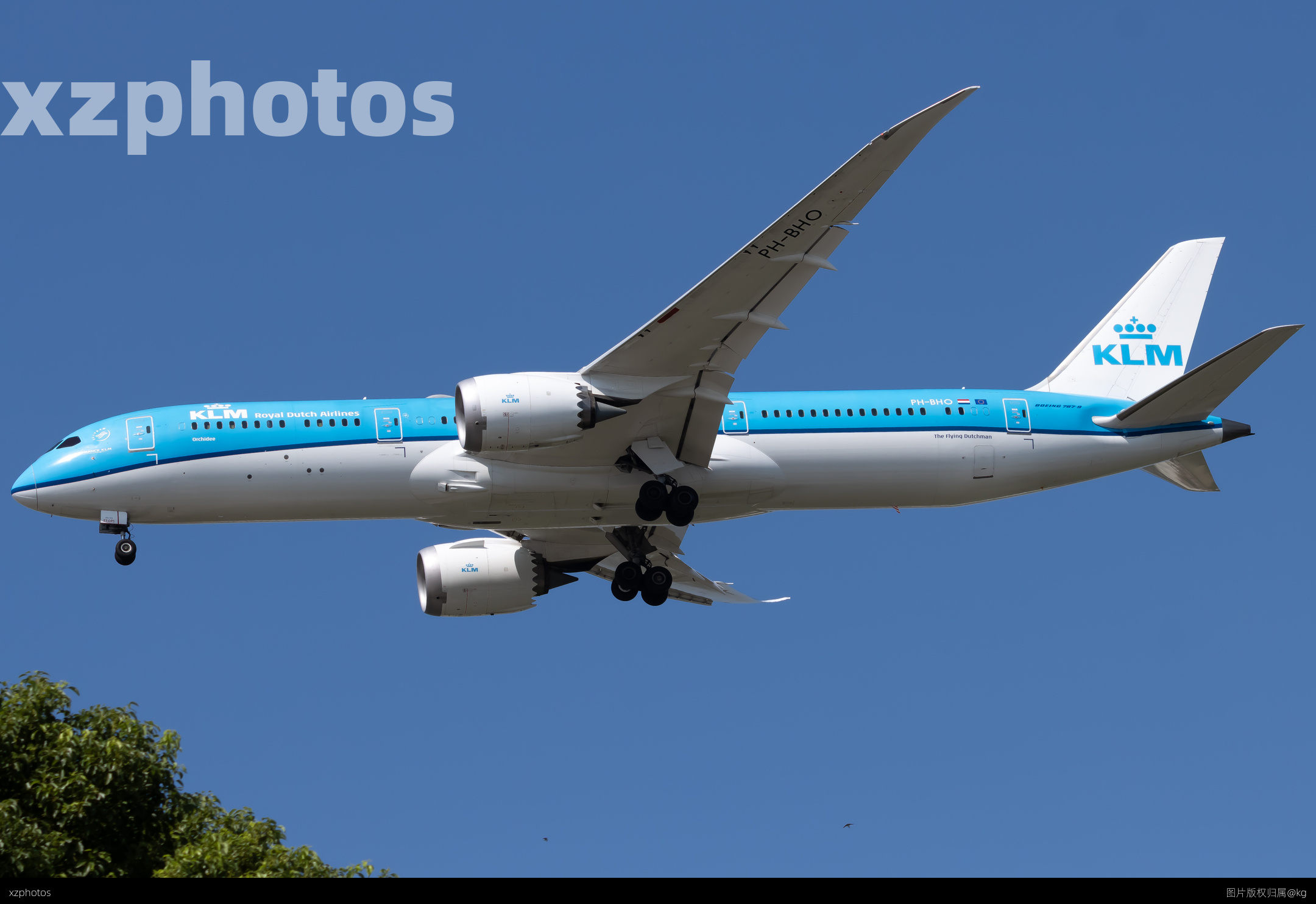 PH-BHO