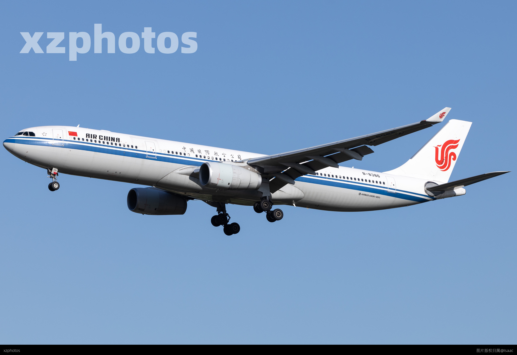 B-8386