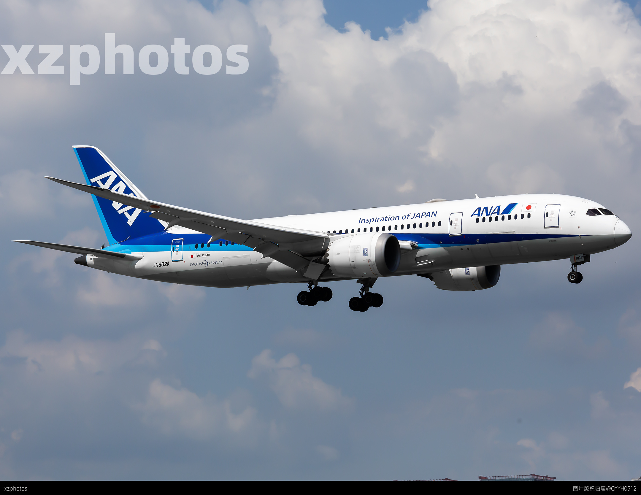 ANA B787-8 JA802A