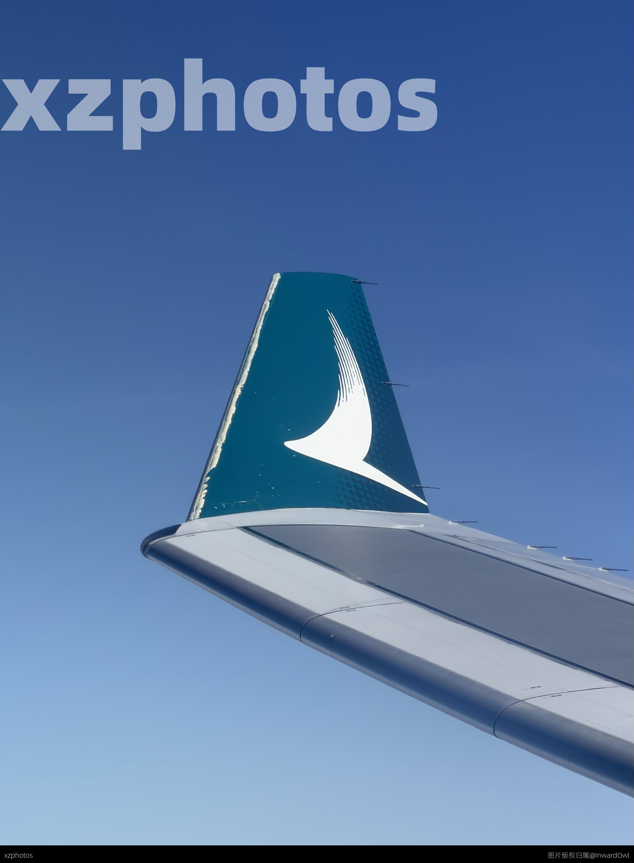 国泰航空A330小翼