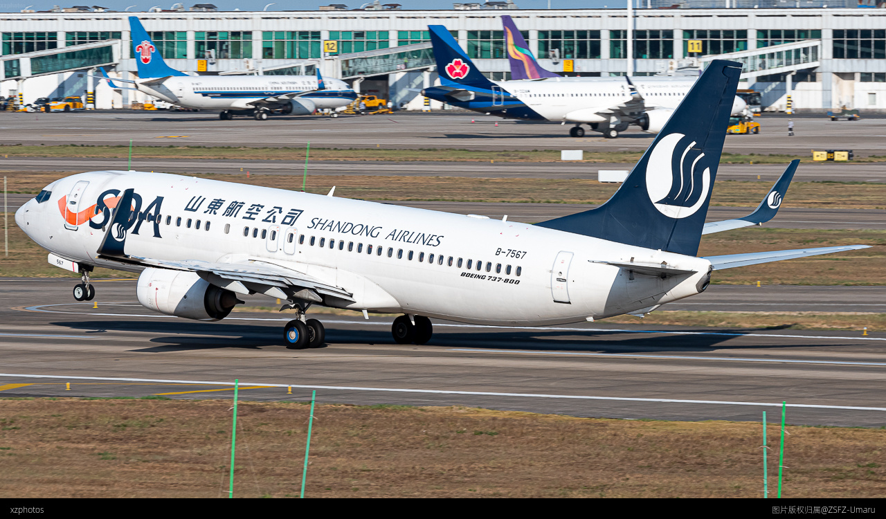 B-7567