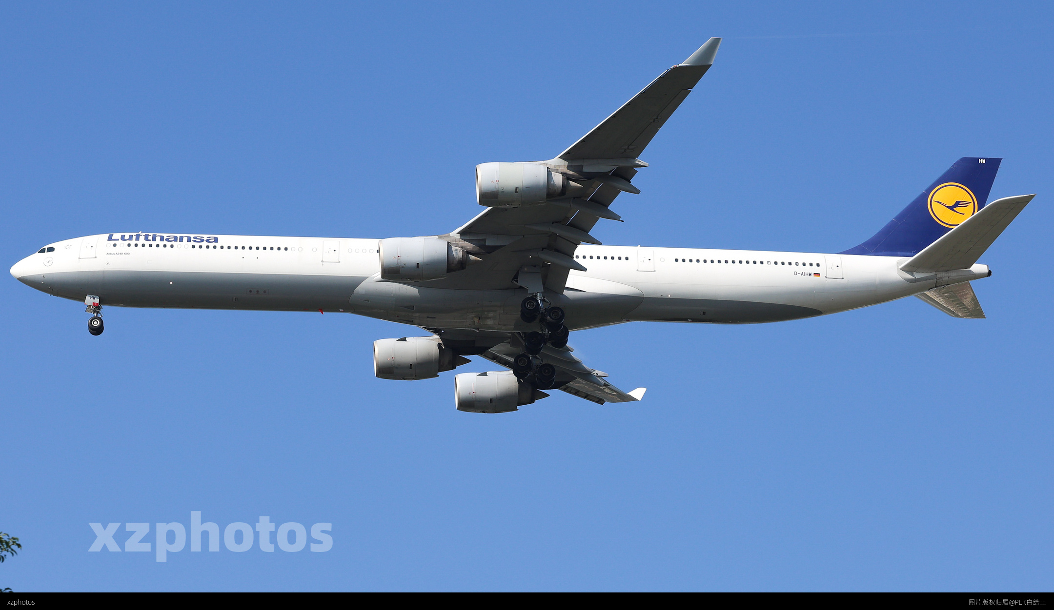 D-AIHW