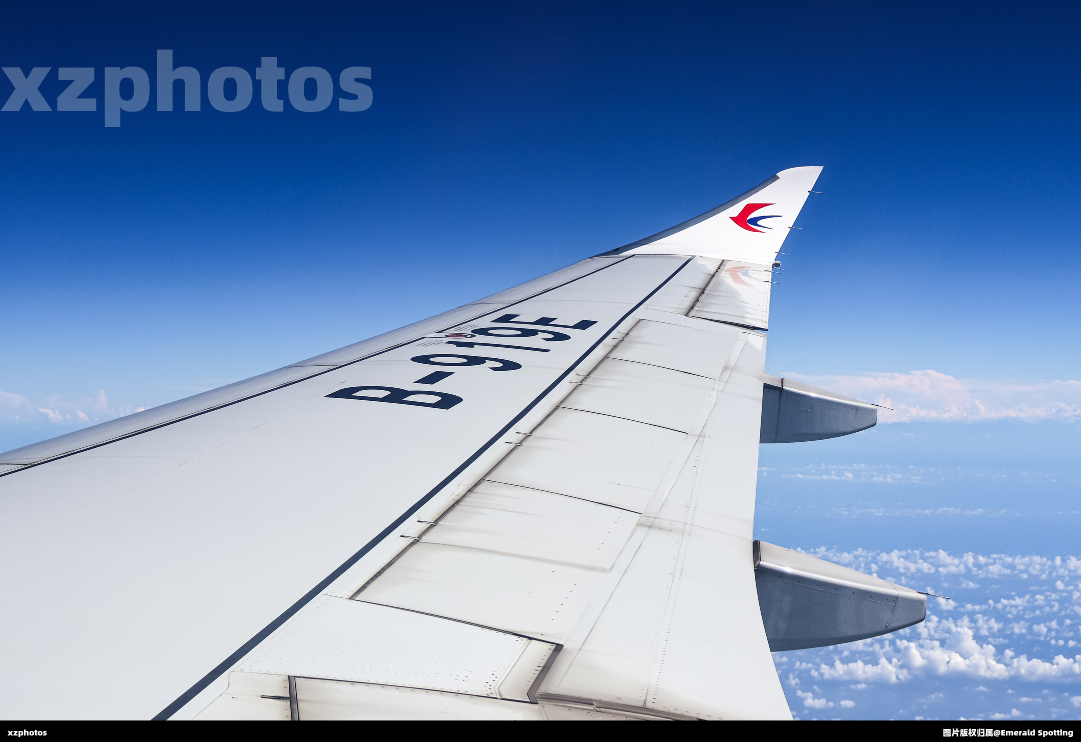 B-919E wing