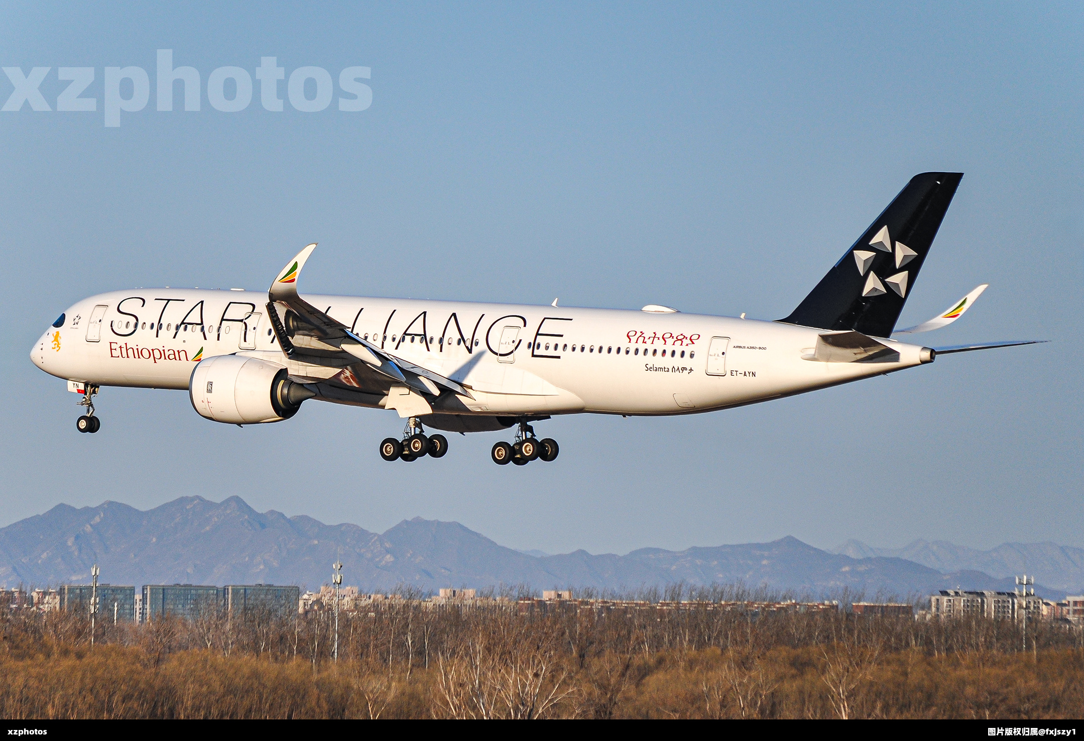埃塞俄比亚航空350彩绘