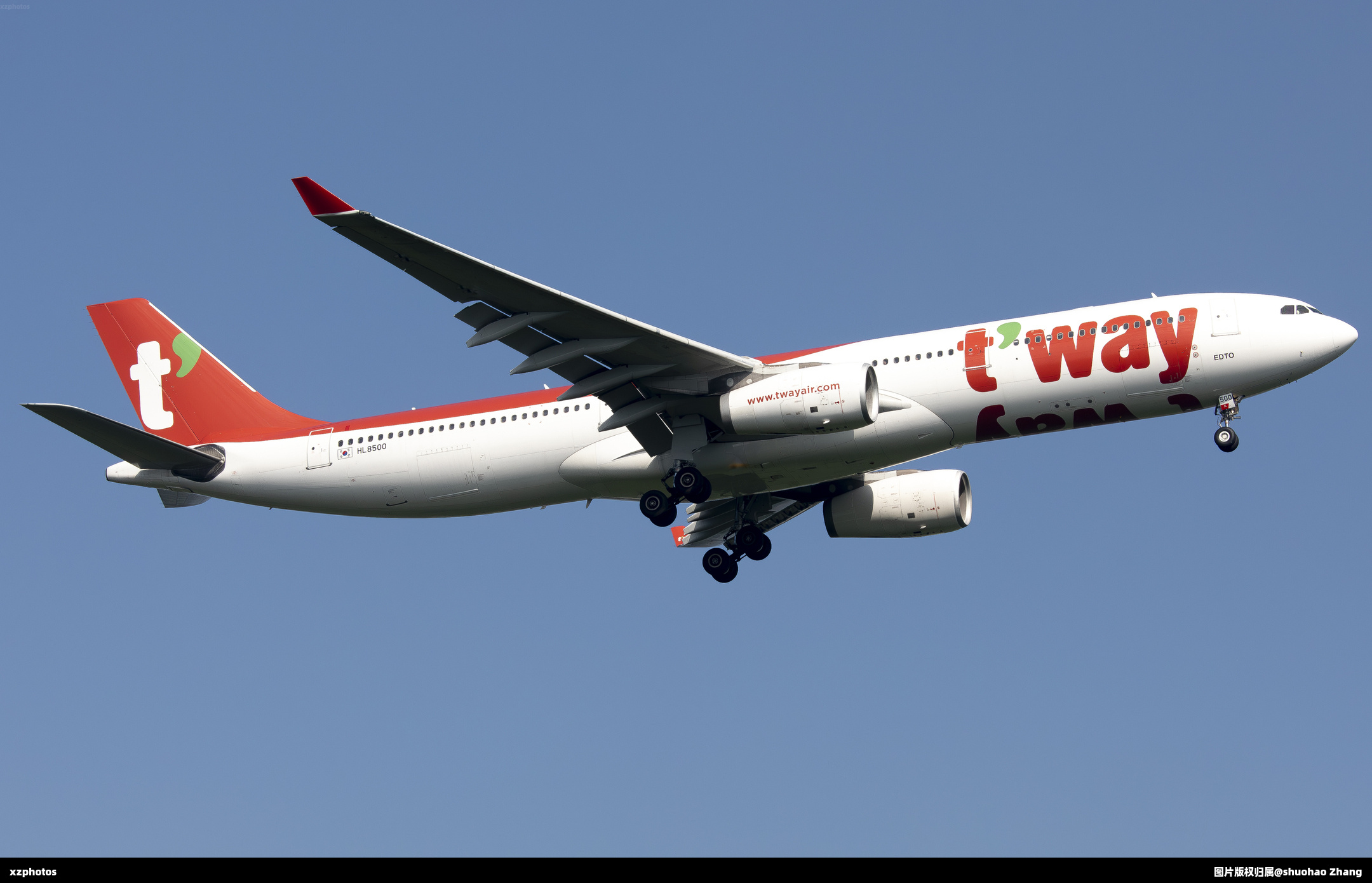 夏季限定 德威333