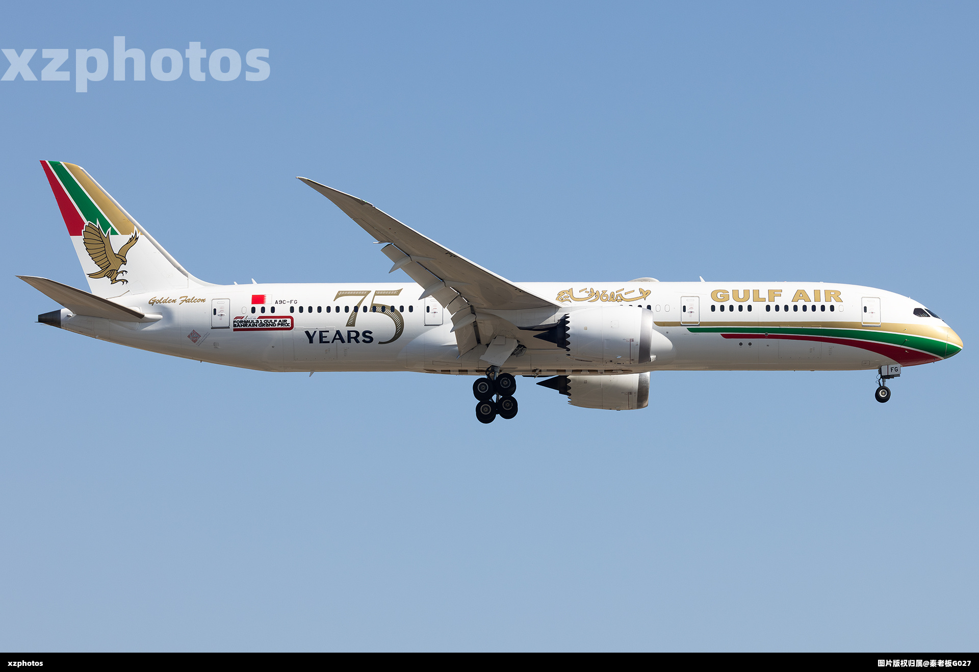 海湾航空75周年彩绘