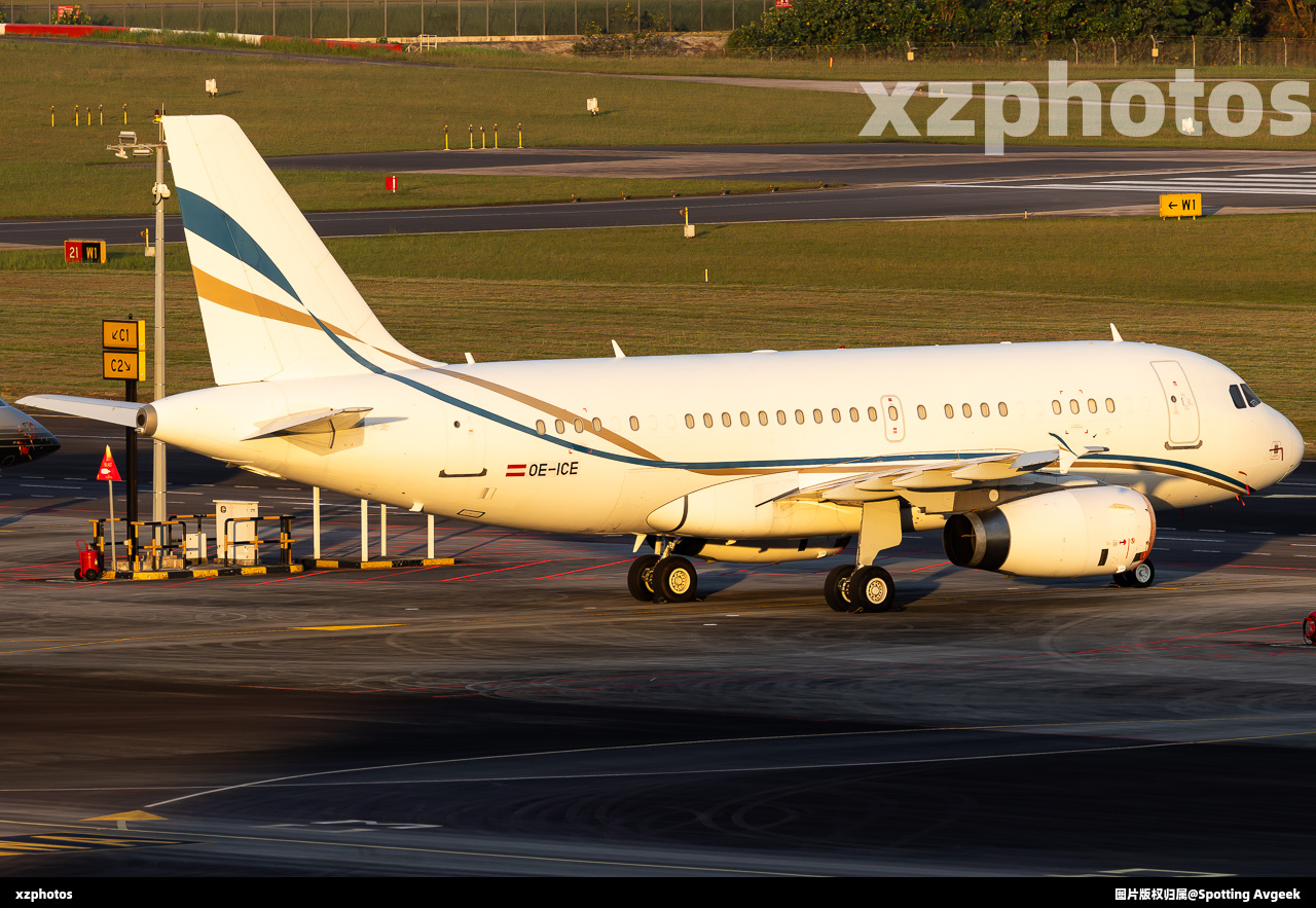 OE-ICE