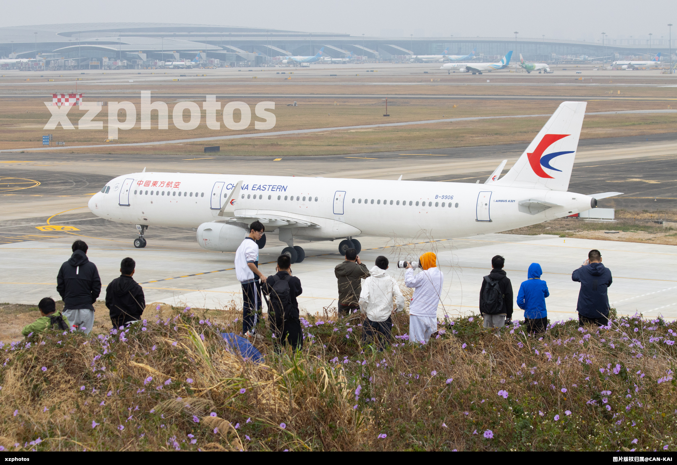 花海中的飞友们