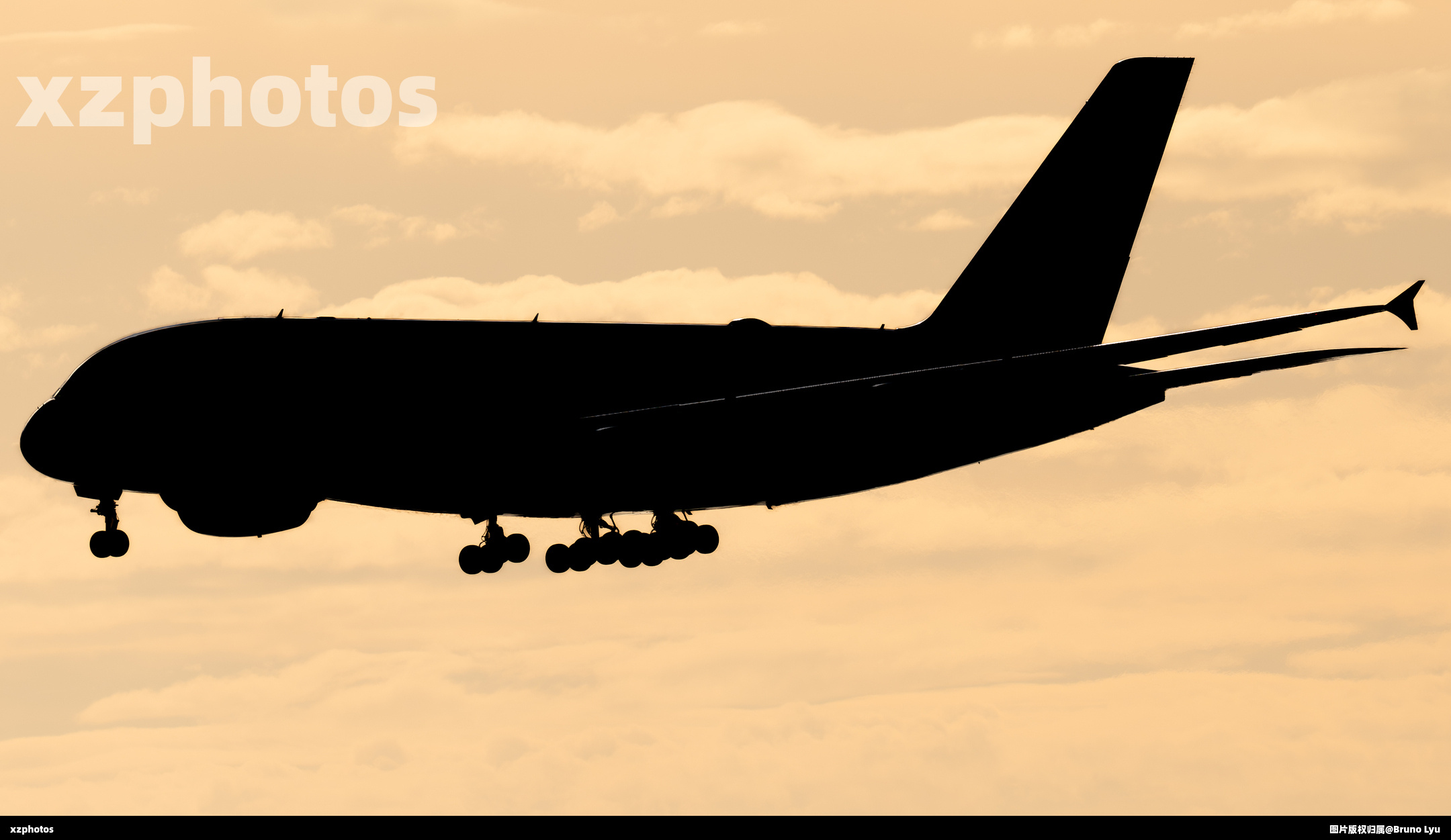 阿联酋388降落尼斯（风格图）