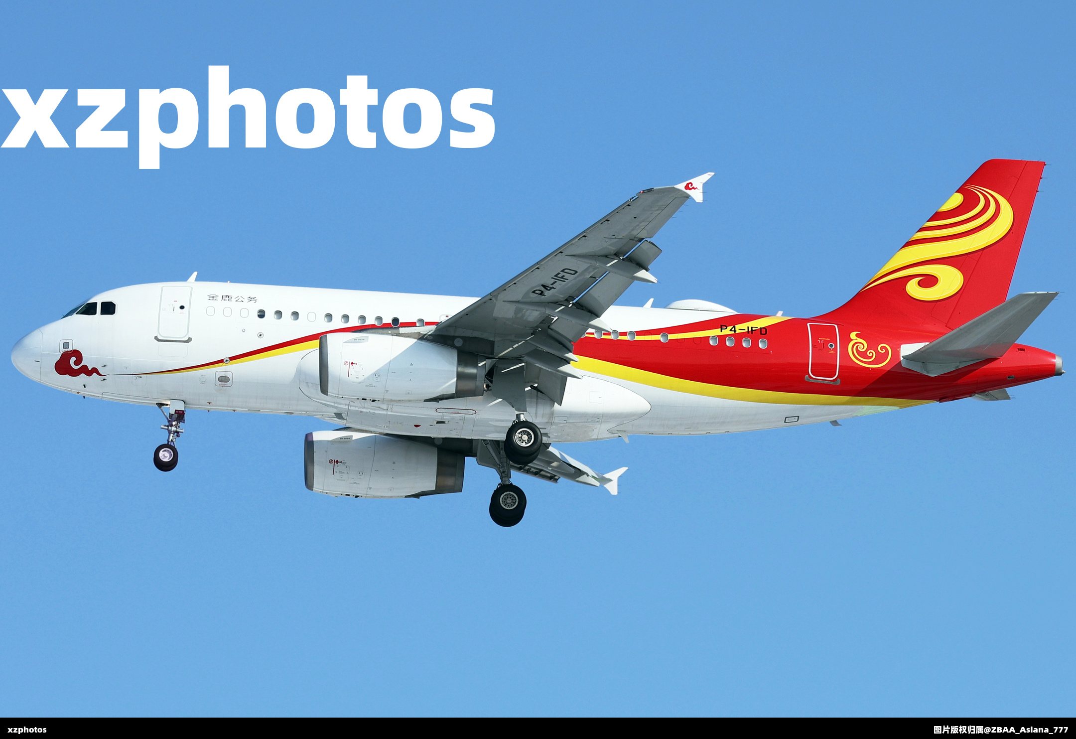 金鹿公务319访京