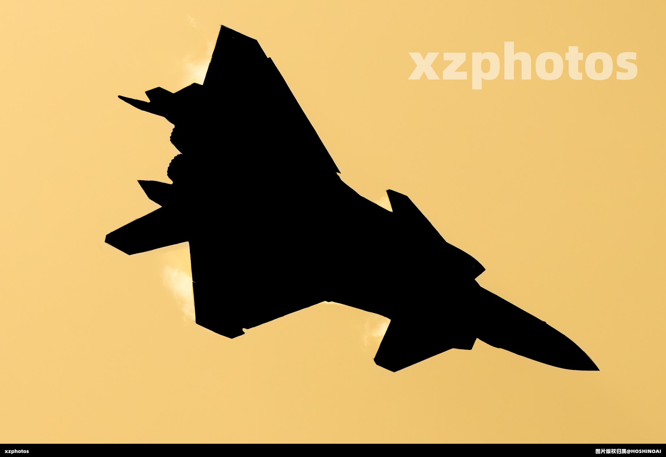 鹰击长空，鱼翔浅底，万类霜天竞自由