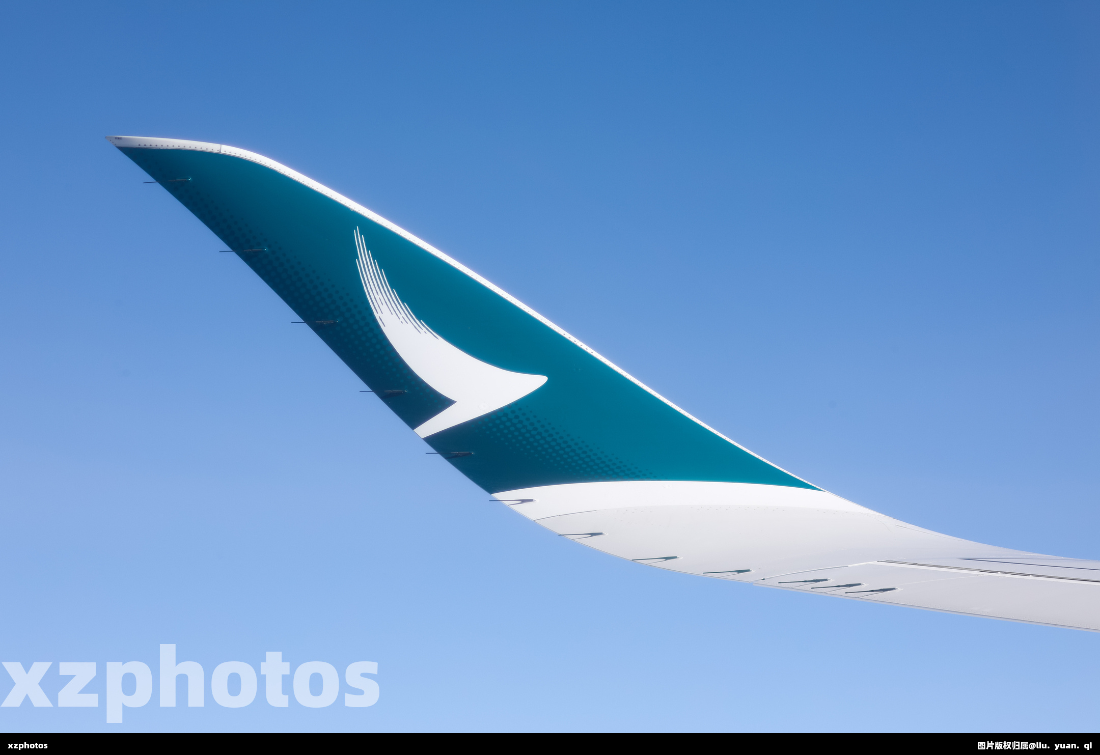 国泰航空CX317巡航中的鱼翅