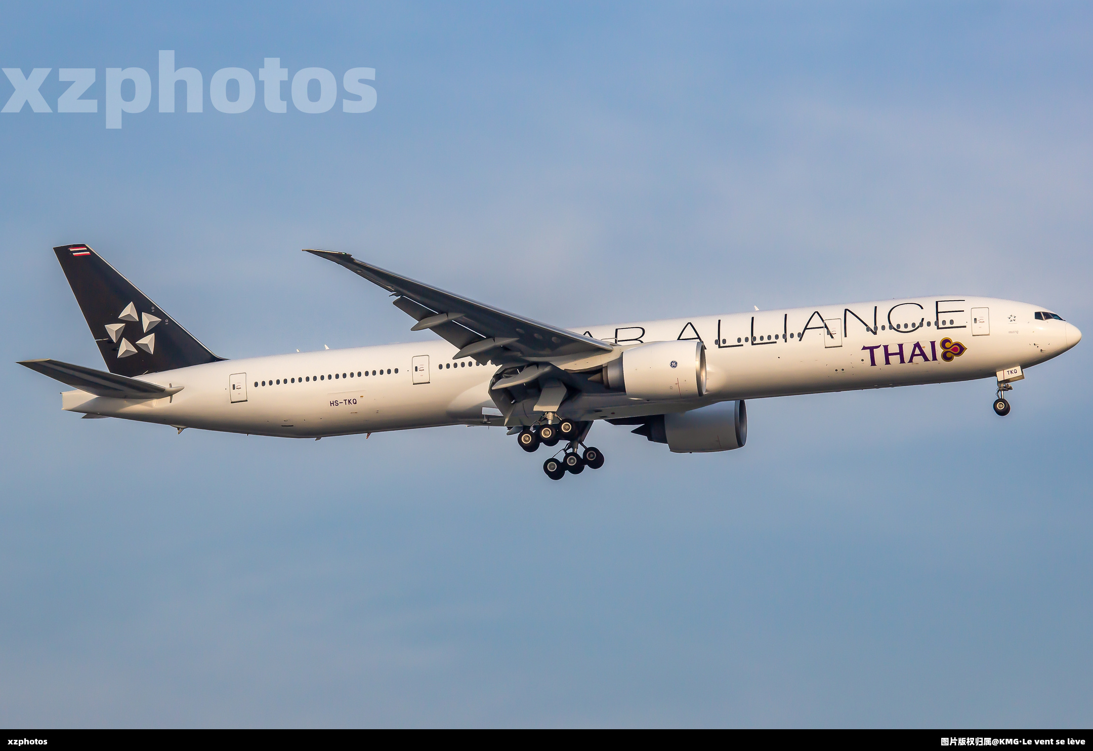 泰航星空联盟新涂装