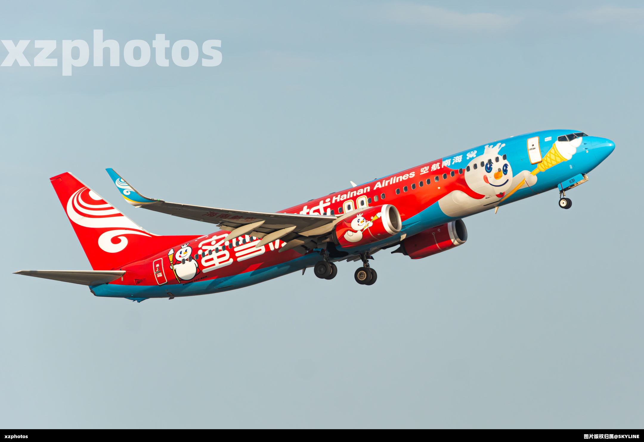 海南航空蜜雪冰城彩绘