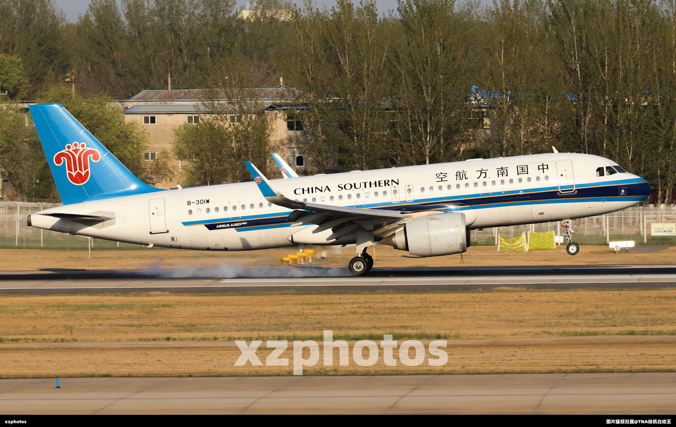 黄金光下的B-301W