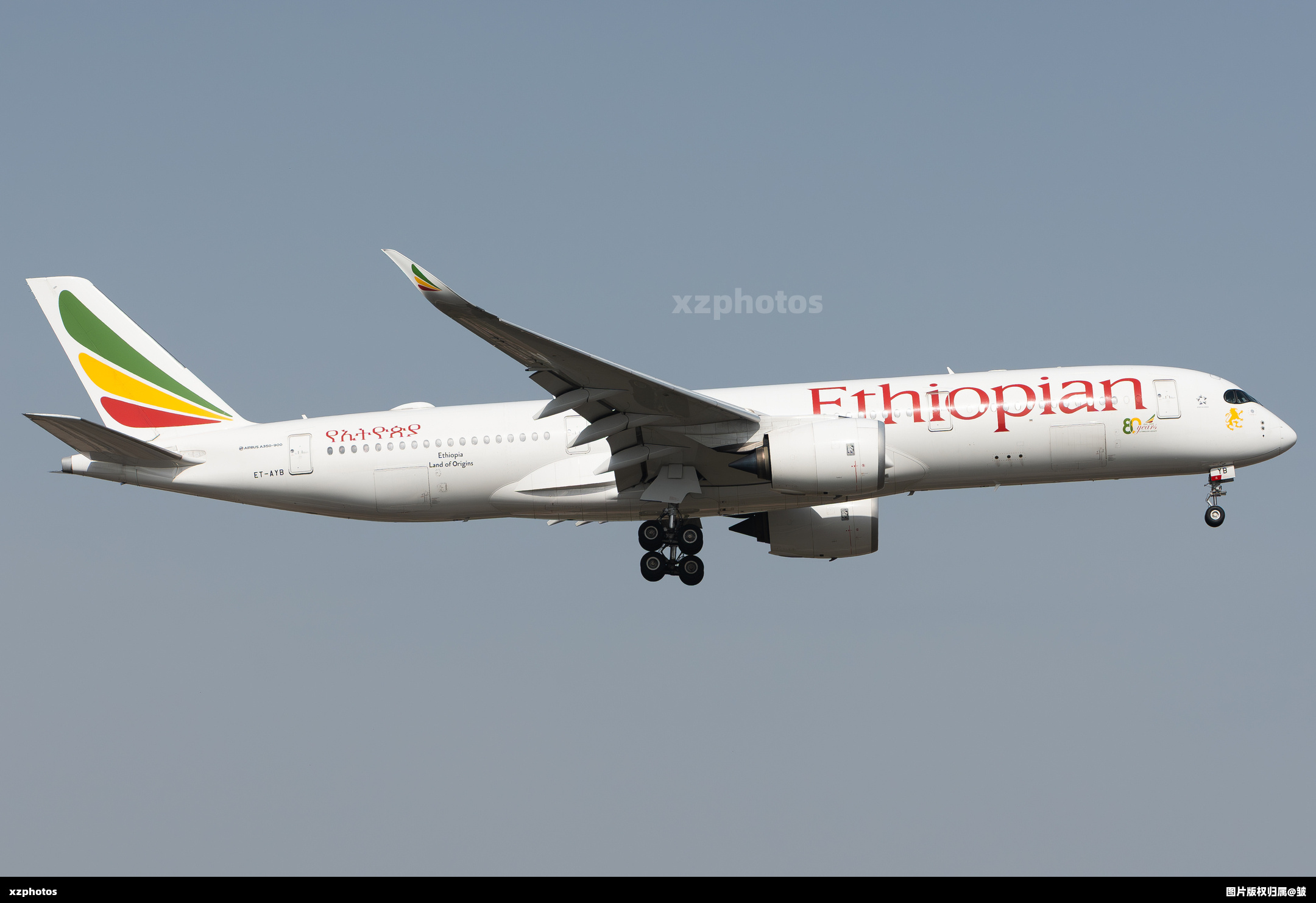 埃塞80周年贴纸