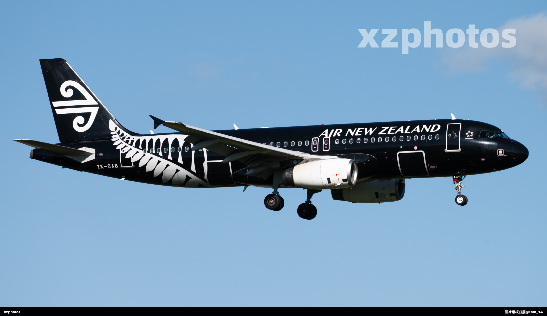 新西兰航空A320 ZK-OAB 纯黑降落奥克兰机场
