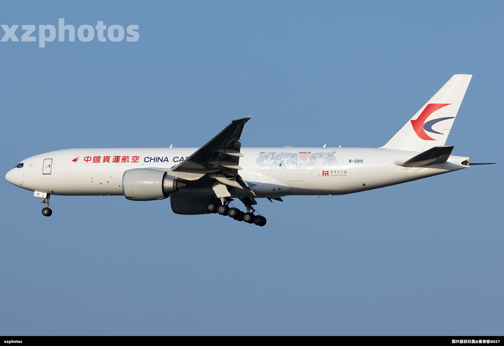 上海博物馆·世界树之巅